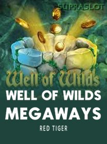 Well Of Wilds Megaways banner